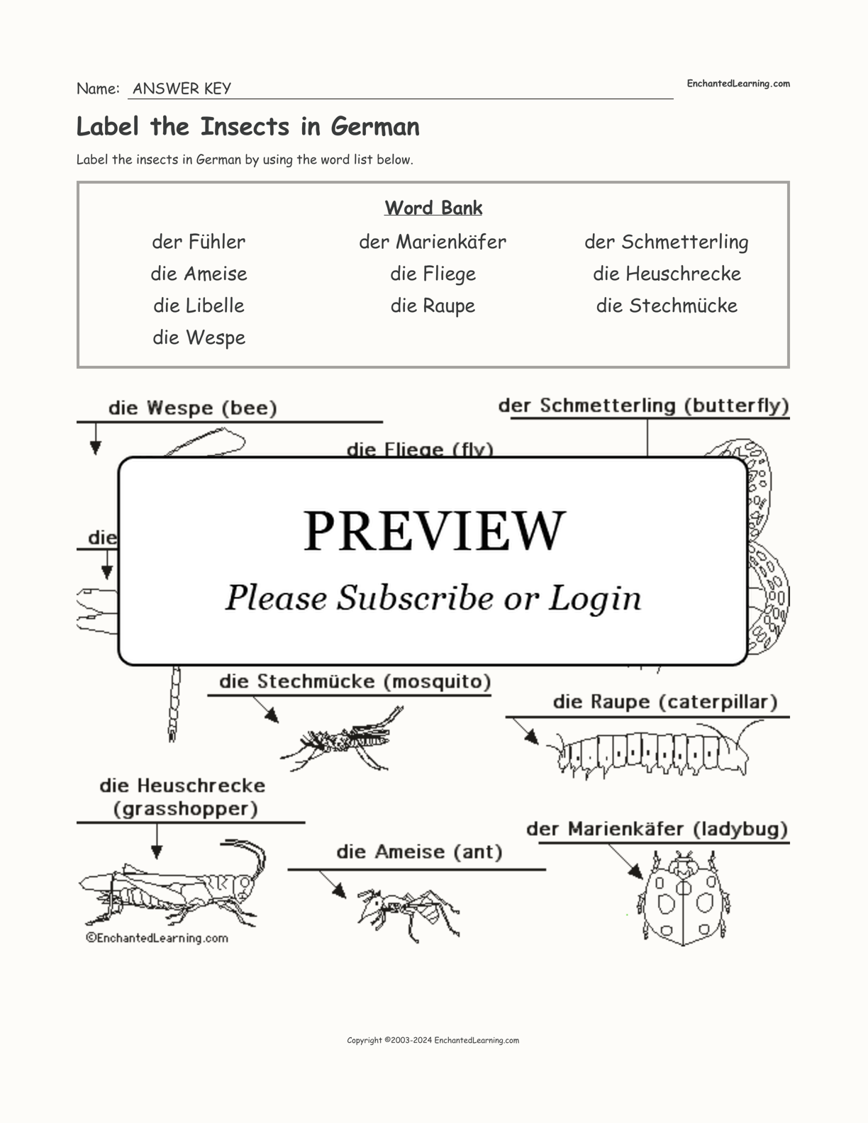 Label the Insects in German interactive worksheet page 2