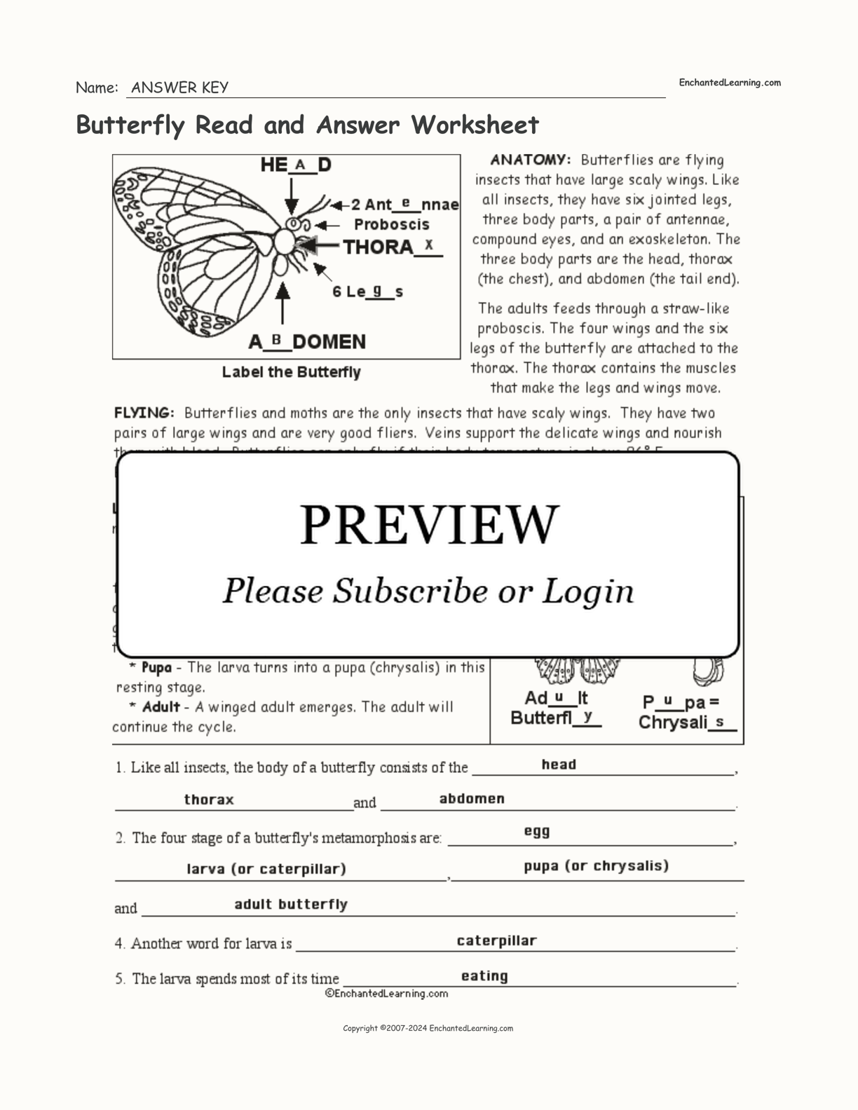 Butterfly Read and Answer Worksheet interactive worksheet page 2